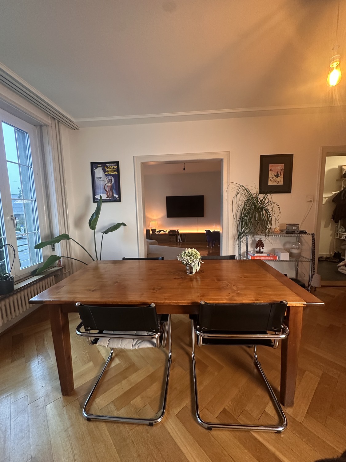 Appartement de 2 ½ pièces