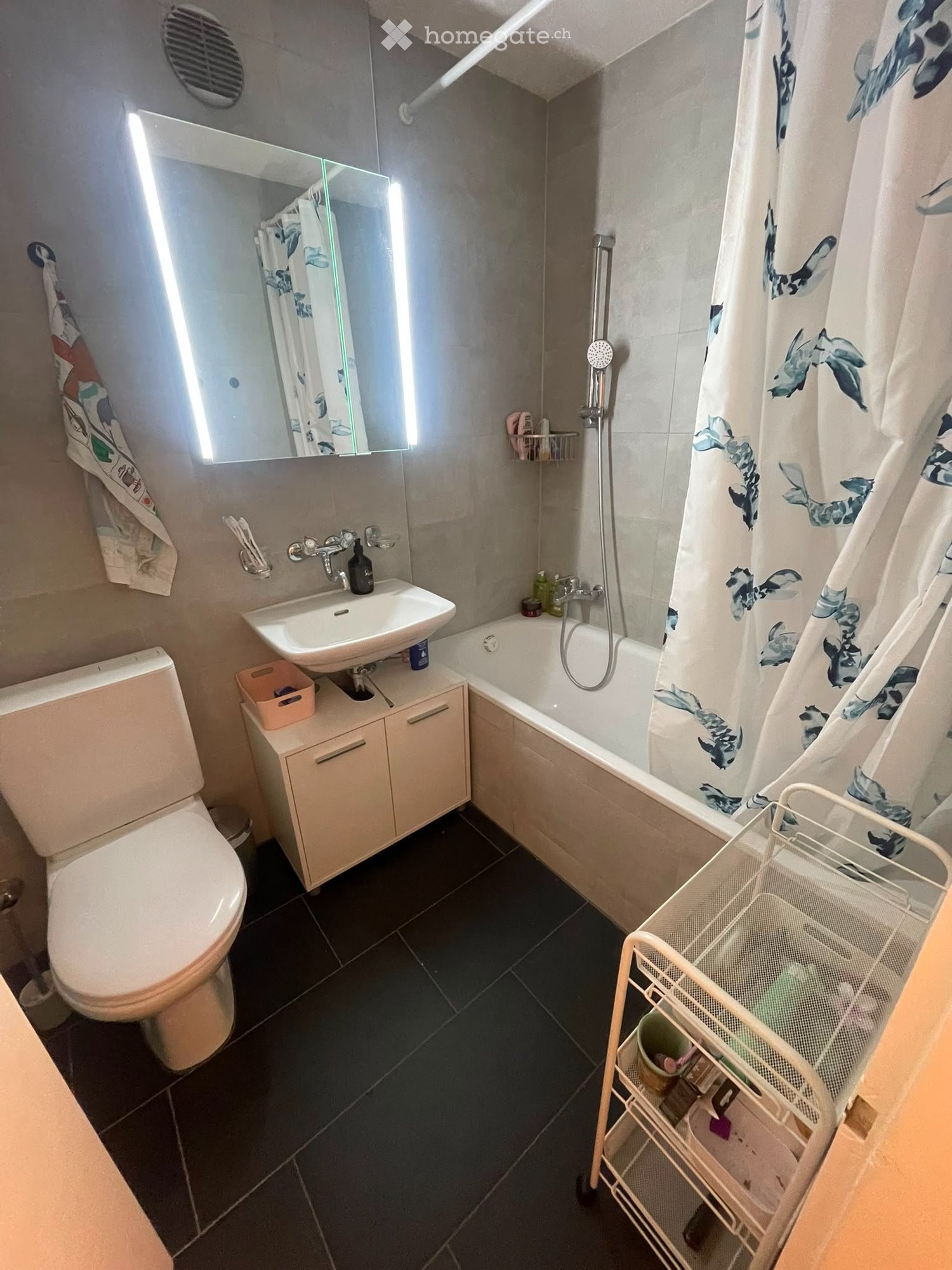 Appartamento di 3 ½ locali, foto 5 di 5