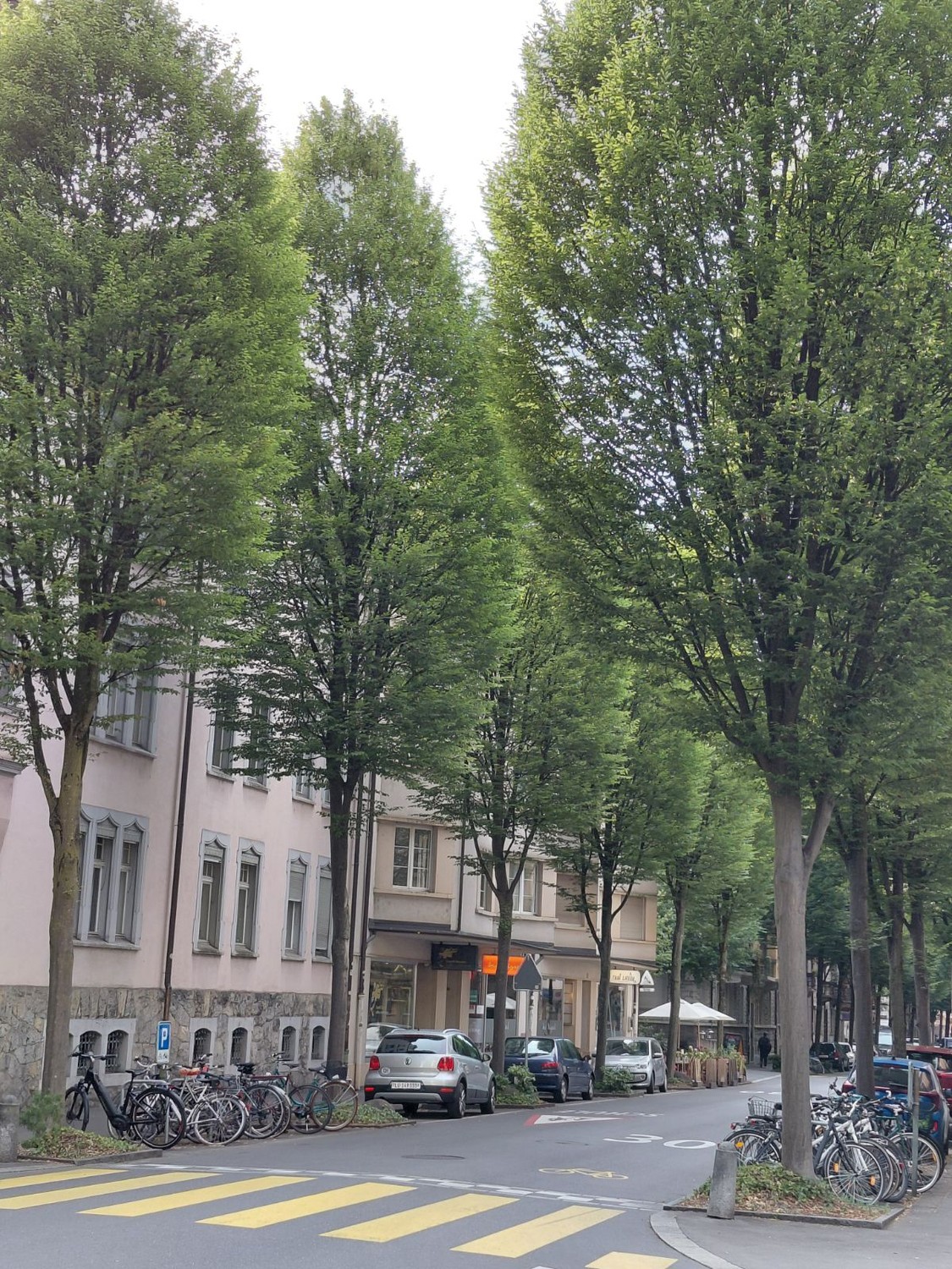 Appartamento di 3 ½ locali, foto 9 di 10