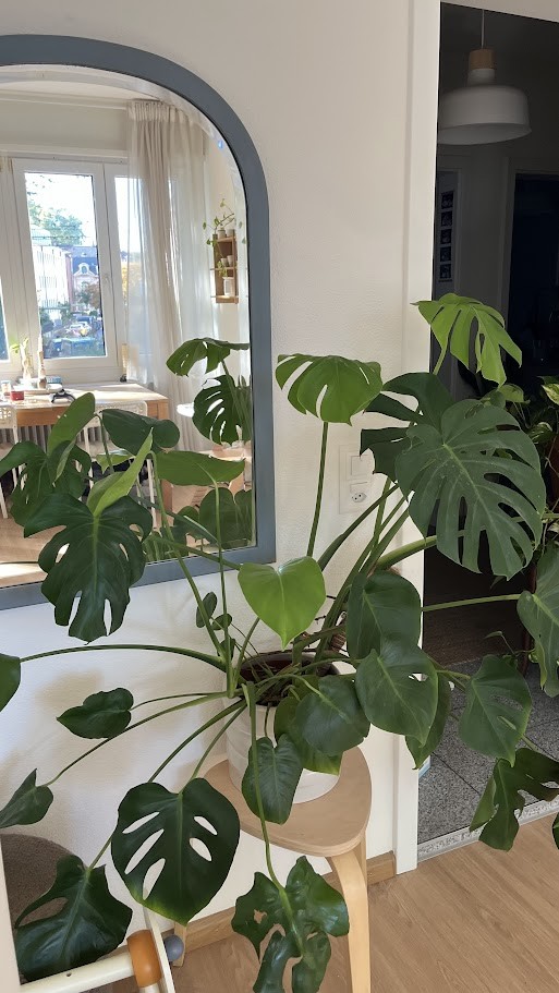 3 rooms apartment, photo 10 of 10