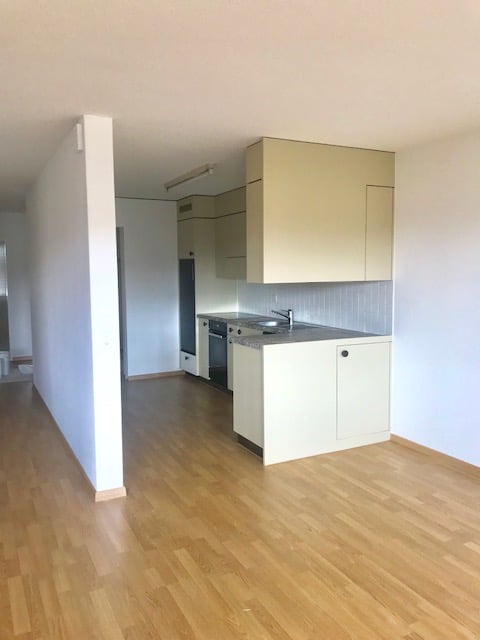 3 ½ pièces appartement