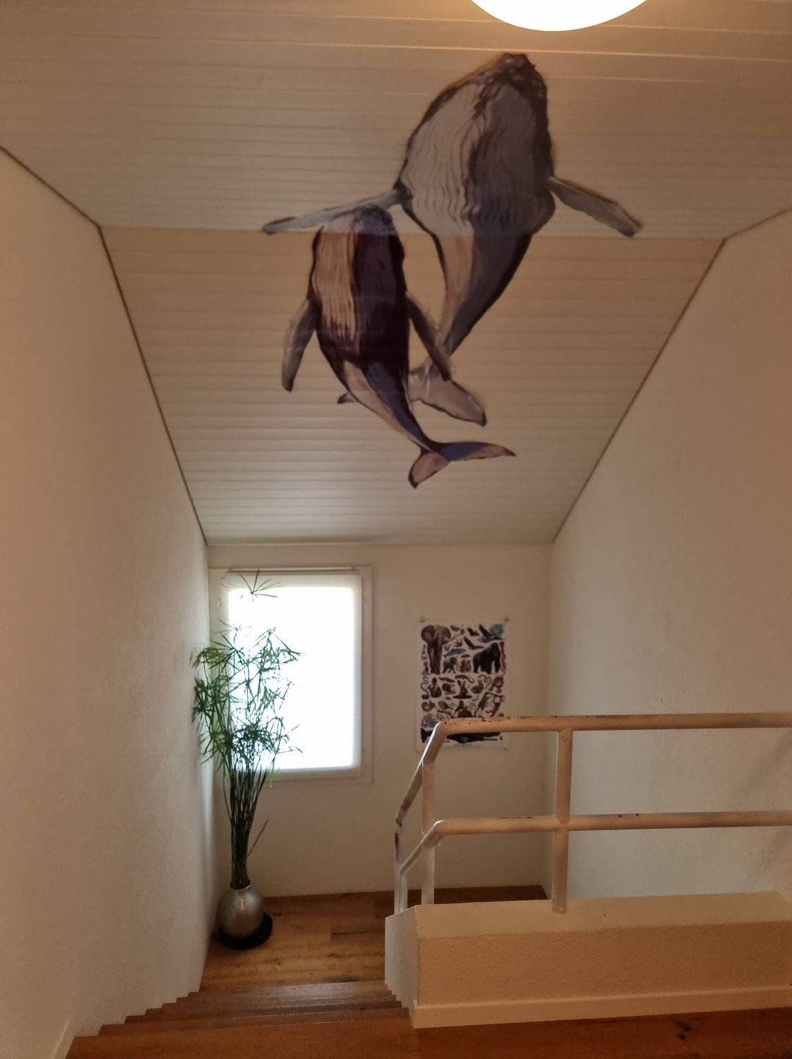 5 ½ rooms furnished flat, photo 4 of 8