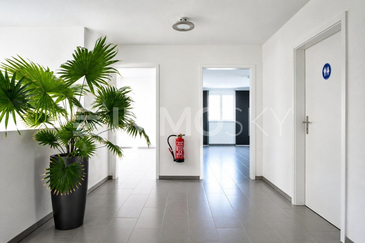 63m² office, photo 4 of 7