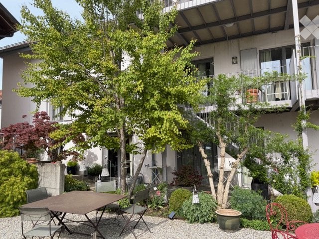 1 ½ rooms apartment