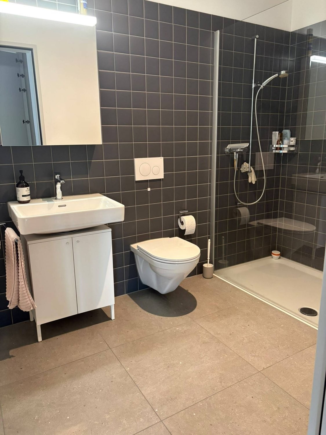 2 ½ rooms furnished flat, photo 7 of 8