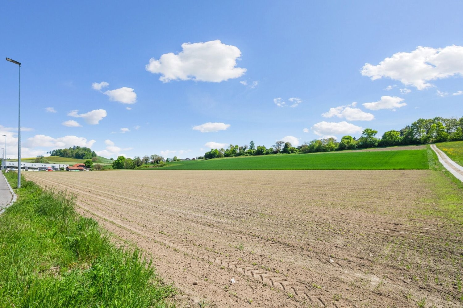 7033m² building land, photo 5 of 6