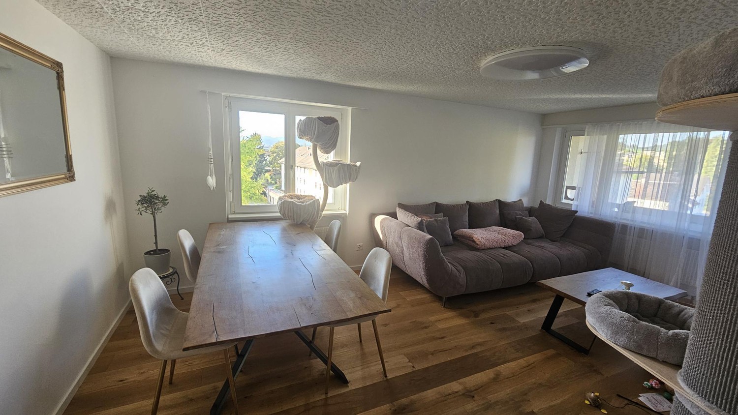 3 rooms apartment