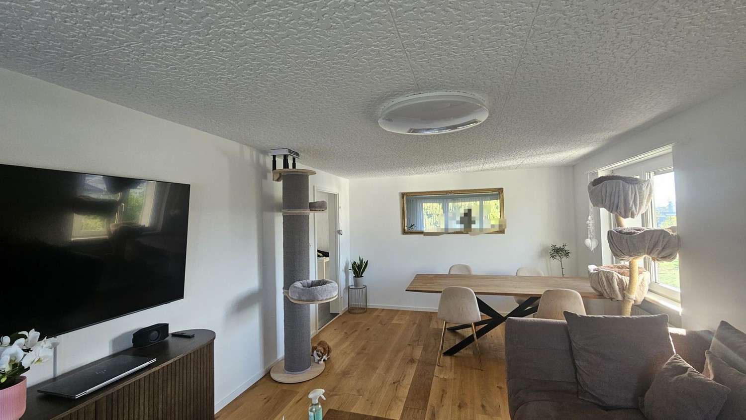 3 rooms apartment