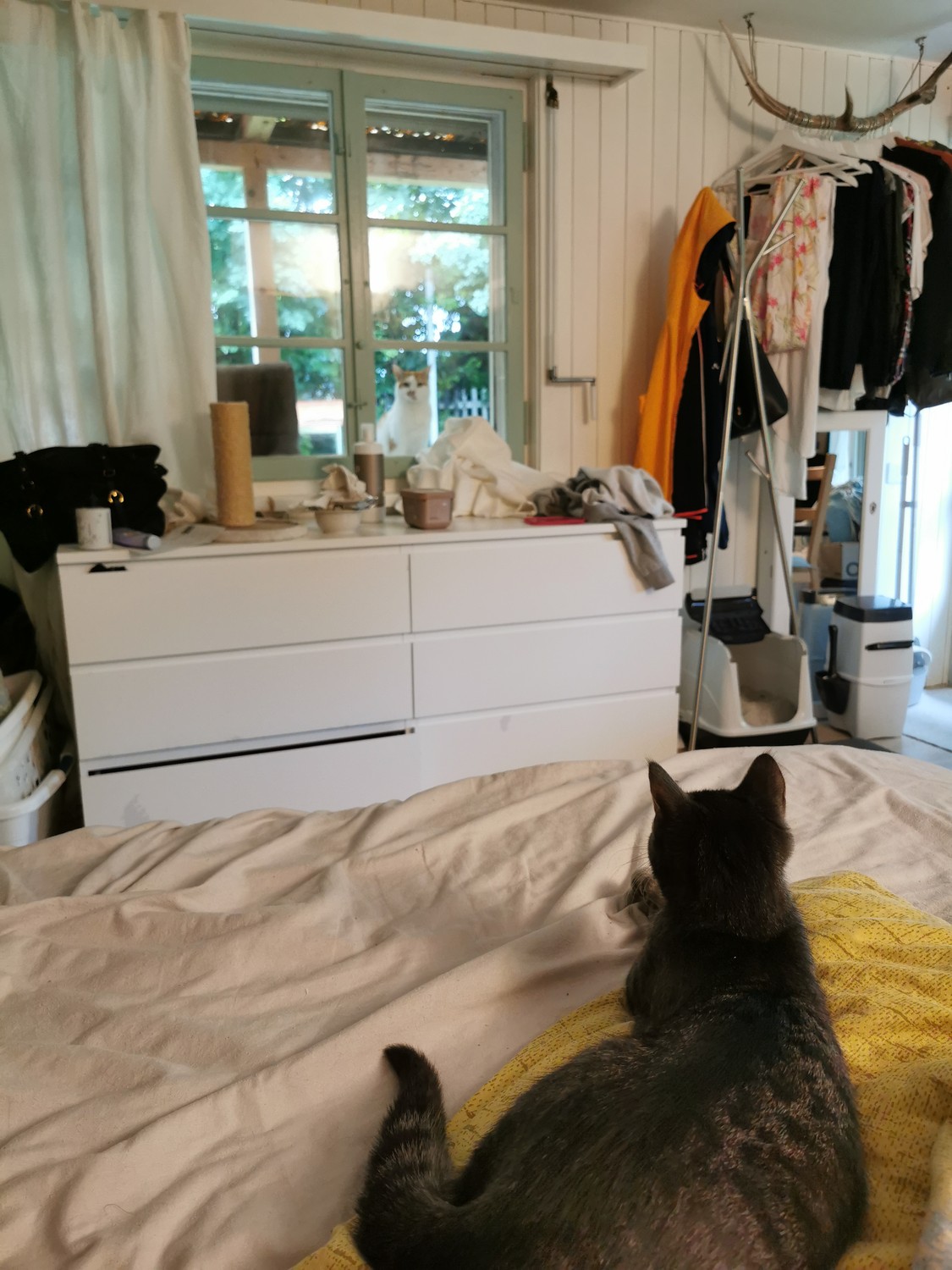 Stanza in un appartamento condiviso