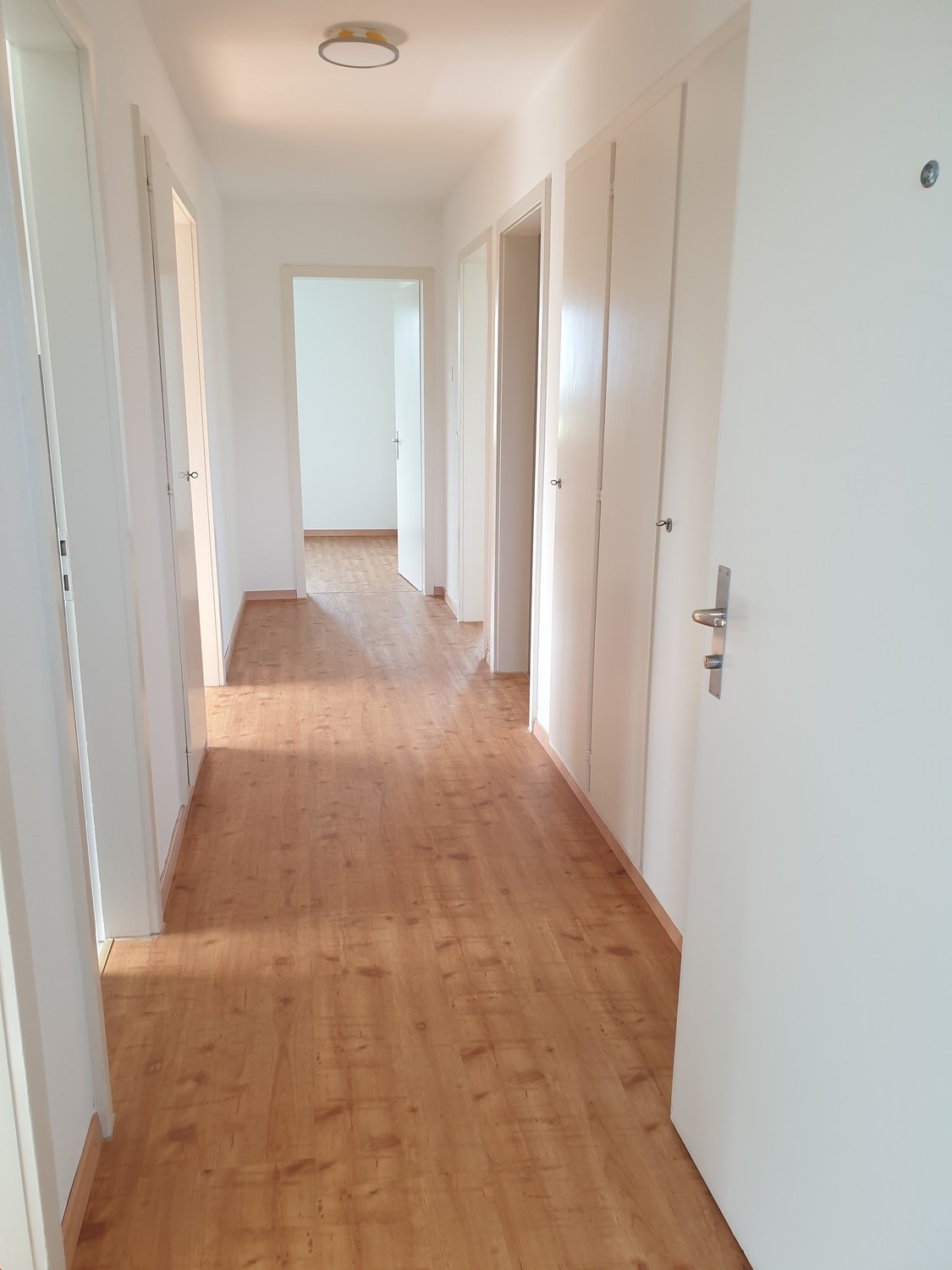 3 ½ pièces appartement