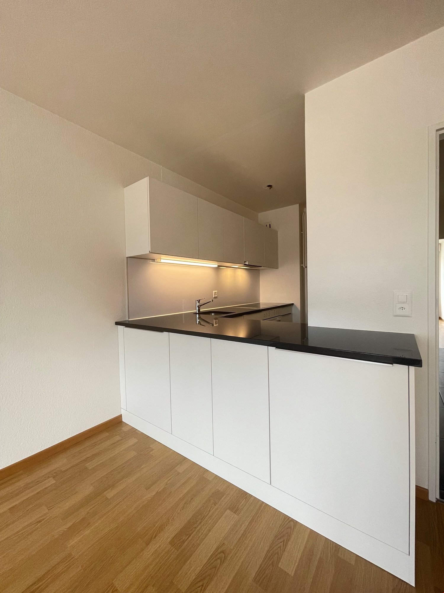 1 rooms apartment