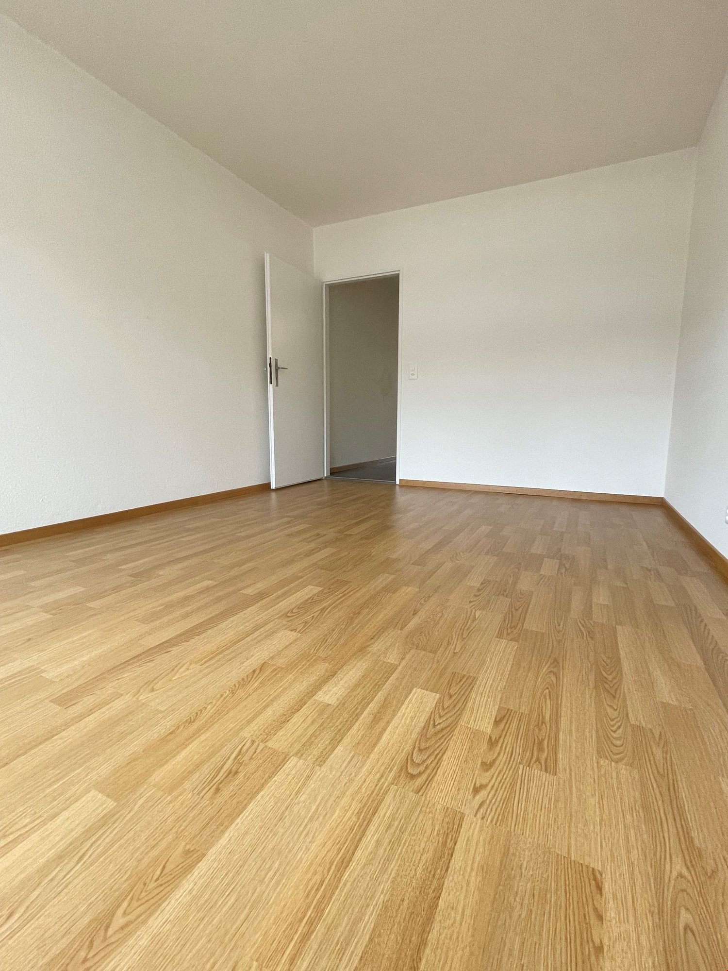 1 rooms apartment