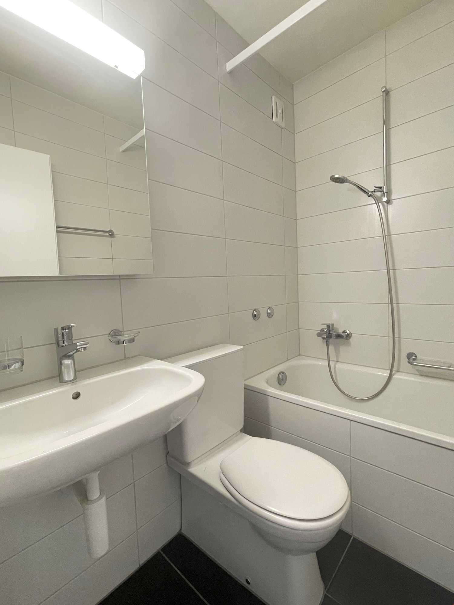 1 rooms apartment