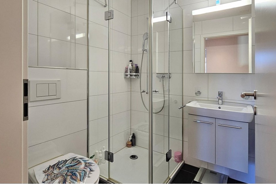 5 ½ room apartment