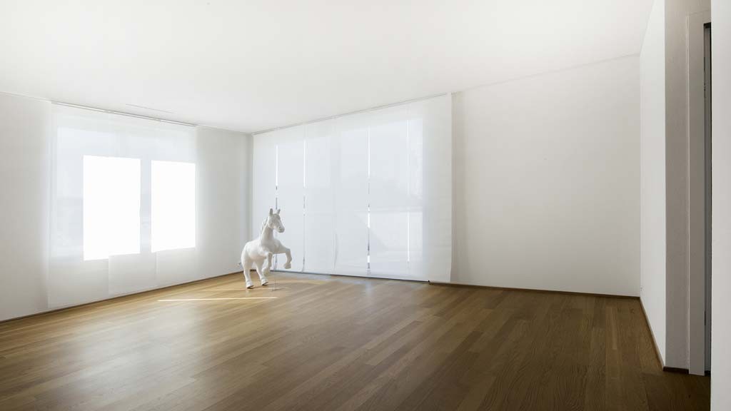 4 ½ rooms attic flat (4)
