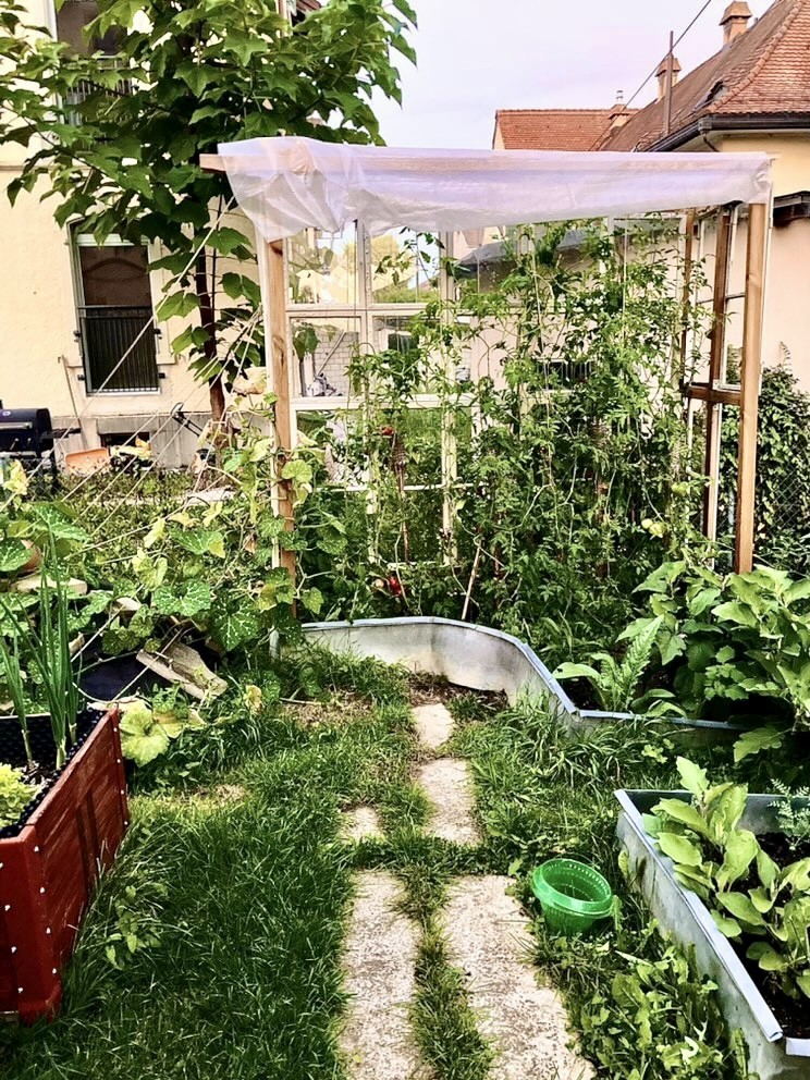 Chambre dans un appartement partagé