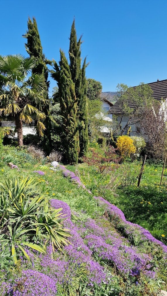 5 ½ room single house
House freshly renovated 2025.
Rental start by arrangement.