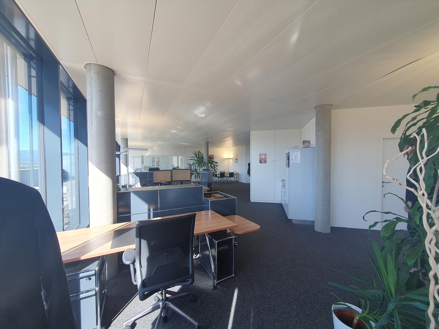 194m² office