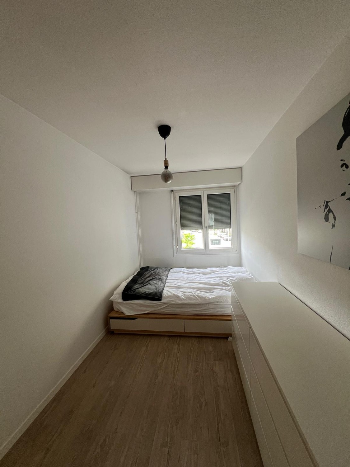 Room in a shared flat