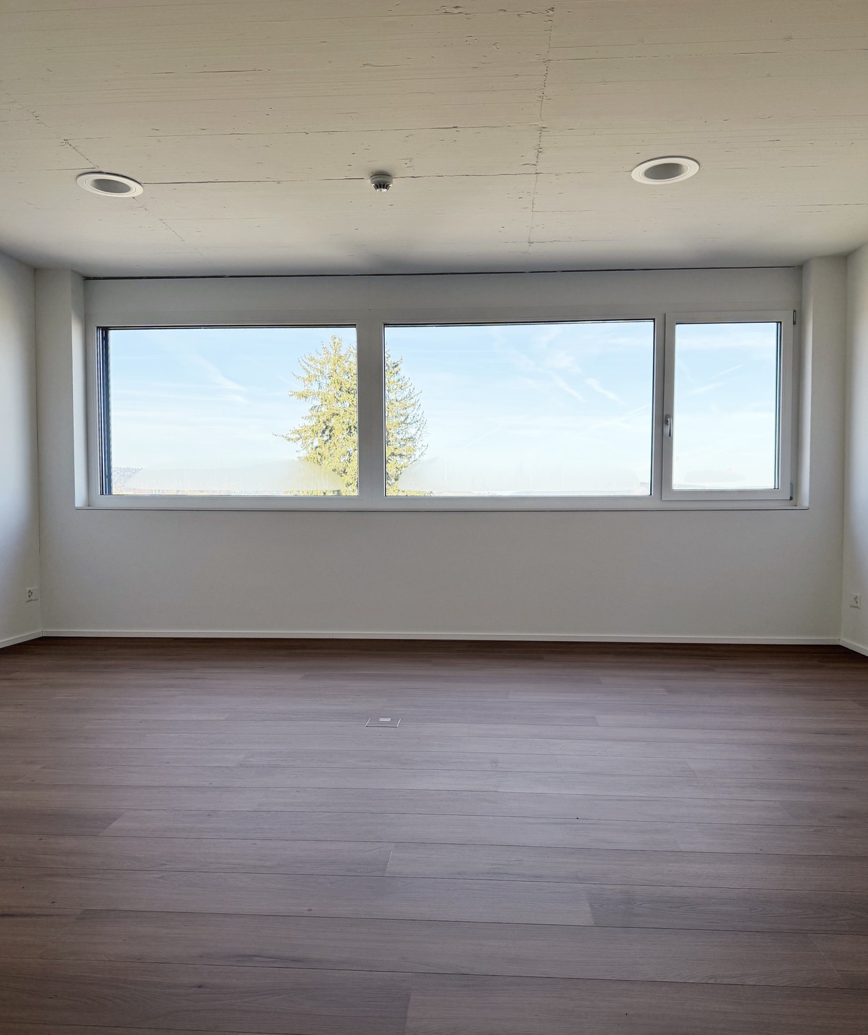 31m² ufficio