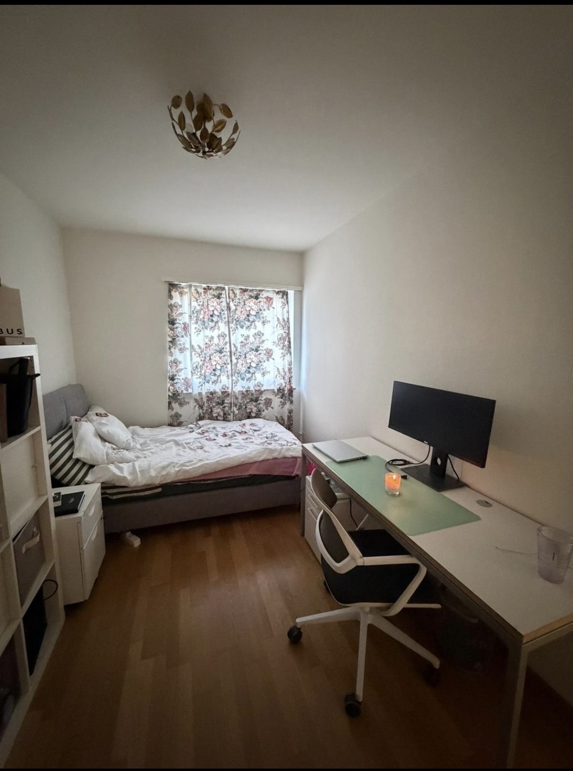 Chambre en colocation