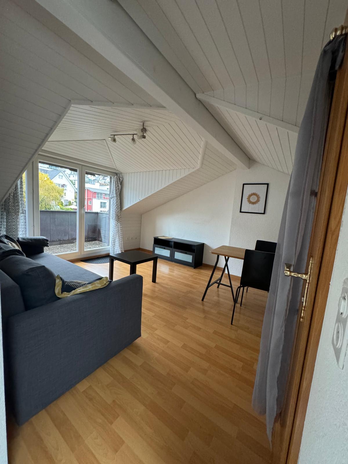 2 rooms roof flat, photo 4 of 10