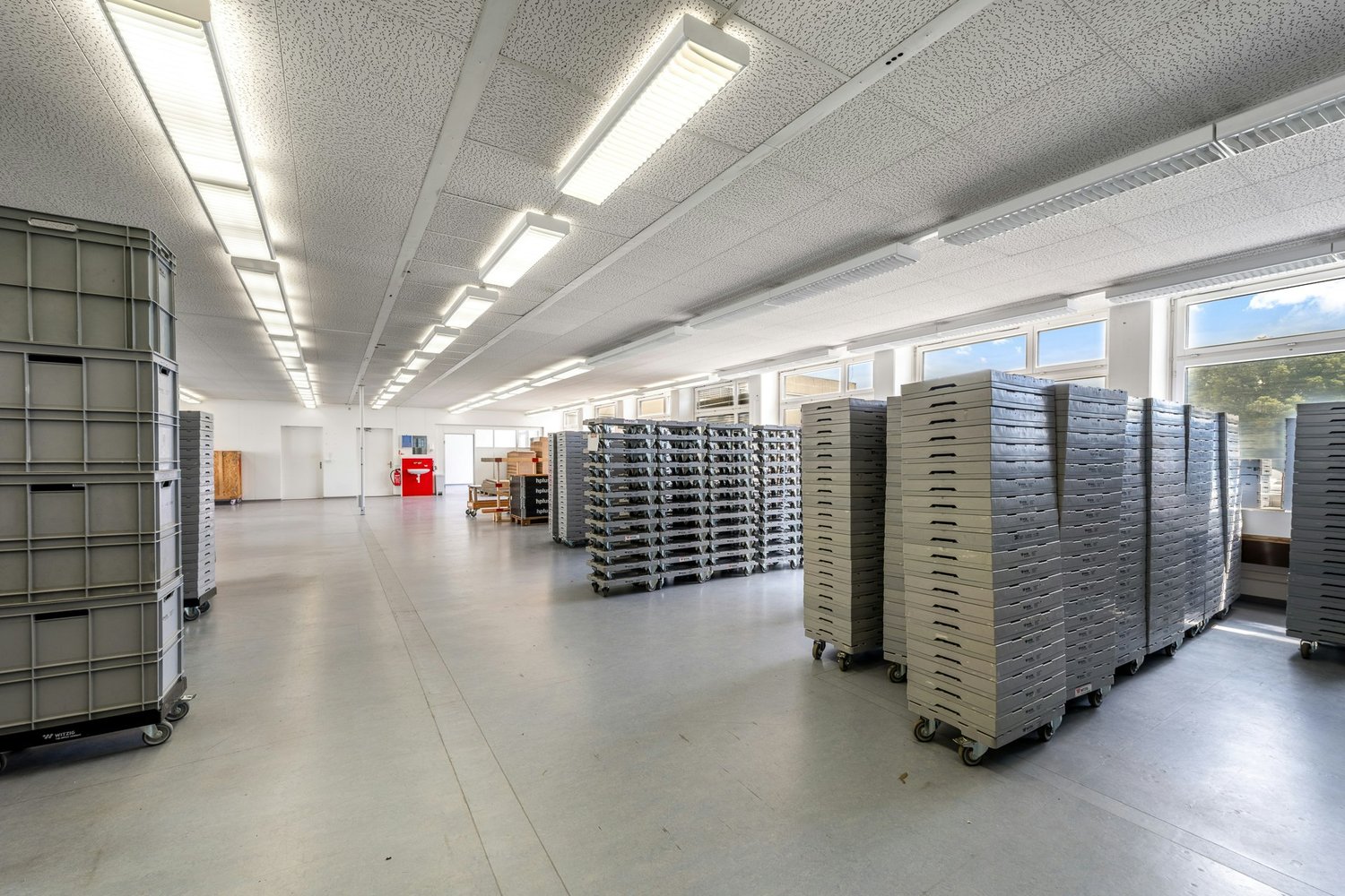 346m² commercial, photo 6 of 10