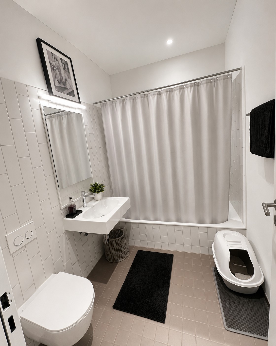Appartement de 3 ½ pièces
