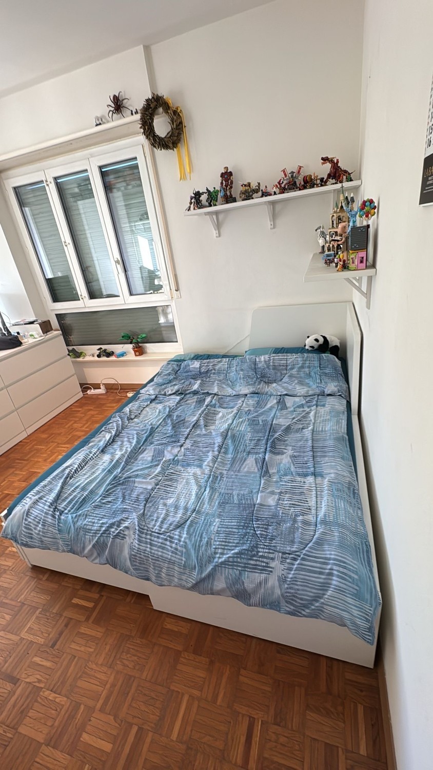 Room in a shared flat