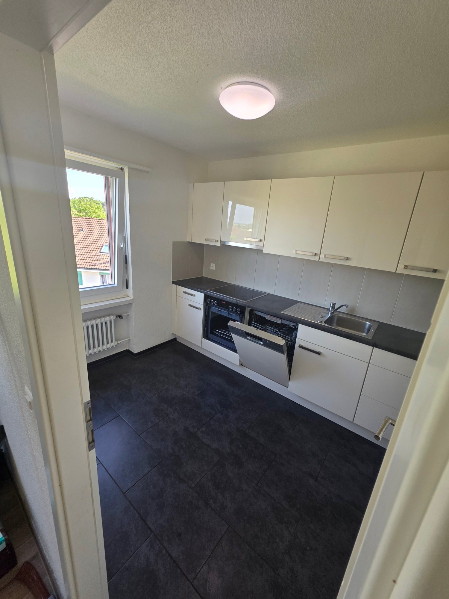 Appartement de 3 ¾1 pièces 

Appartement moderne et confortable à louer immédiatement ou sur accord ! 

- Nouvelle cuisine moderne avec vitroceramique, lave-vaisselle, évacuation de la vapeur, 

- Nouvelle salle de bain avec baignoire 

- Pièces spacieuses 

- Grand balcon 

- Fraîchement peint 

- 