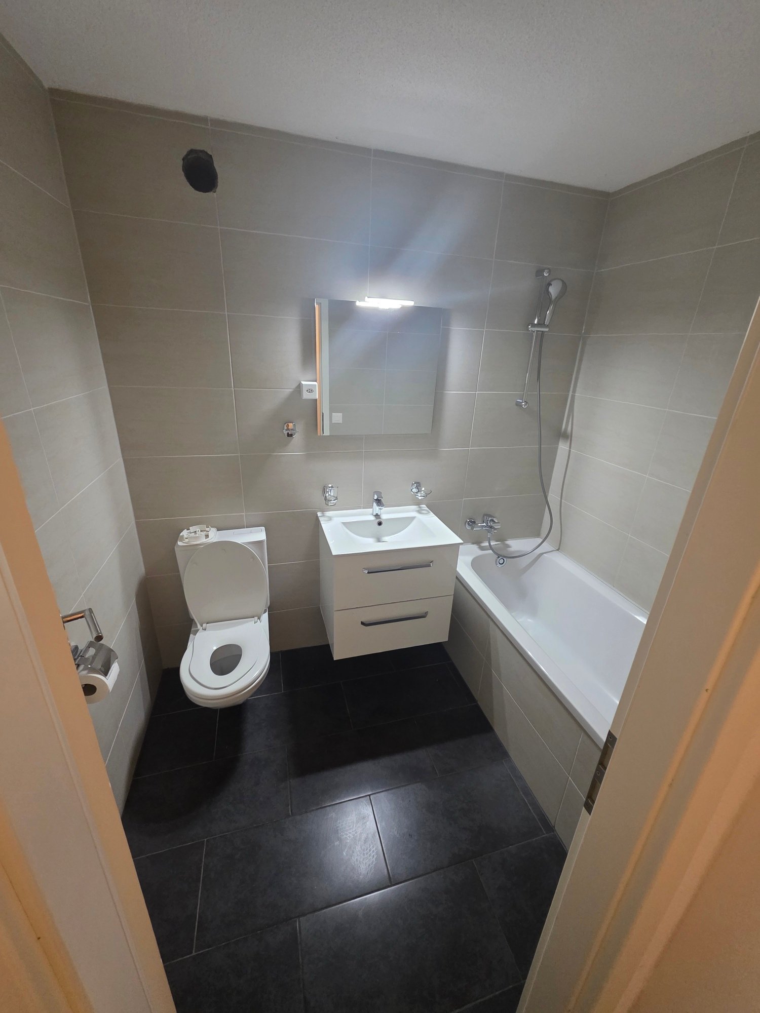 Appartement de 3 ¾1 pièces 

Appartement moderne et confortable à louer immédiatement ou sur accord ! 

- Nouvelle cuisine moderne avec vitroceramique, lave-vaisselle, évacuation de la vapeur, 

- Nouvelle salle de bain avec baignoire 

- Pièces spacieuses 

- Grand balcon 

- Fraîchement peint 

- 