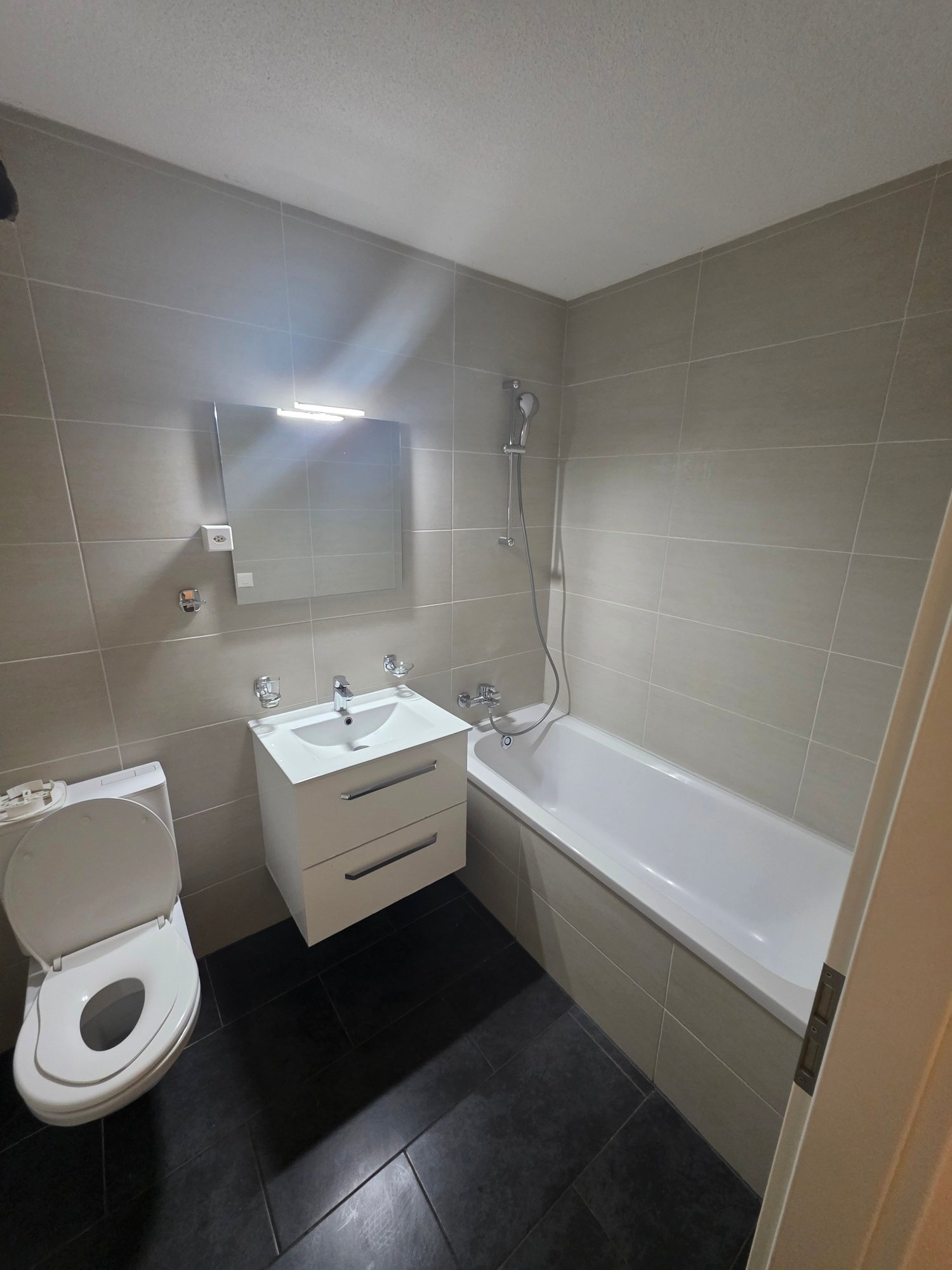 Appartement de 3 ¾1 pièces 

Appartement moderne et confortable à louer immédiatement ou sur accord ! 

- Nouvelle cuisine moderne avec vitroceramique, lave-vaisselle, évacuation de la vapeur, 

- Nouvelle salle de bain avec baignoire 

- Pièces spacieuses 

- Grand balcon 

- Fraîchement peint 

- 