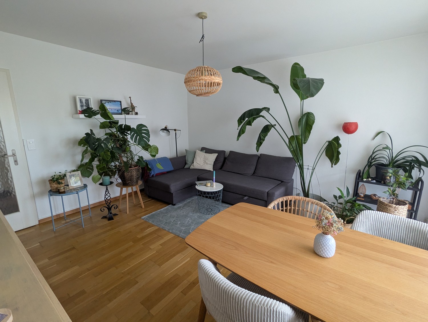 3 rooms apartment