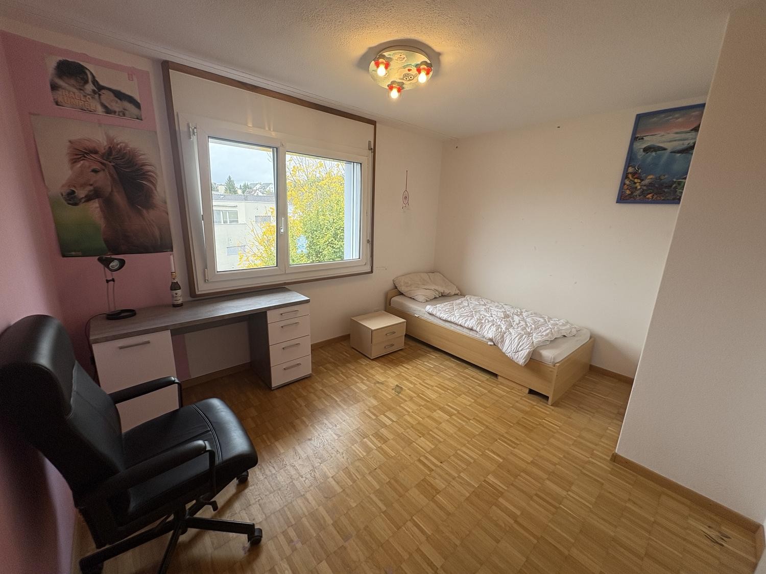 Room in a shared flat