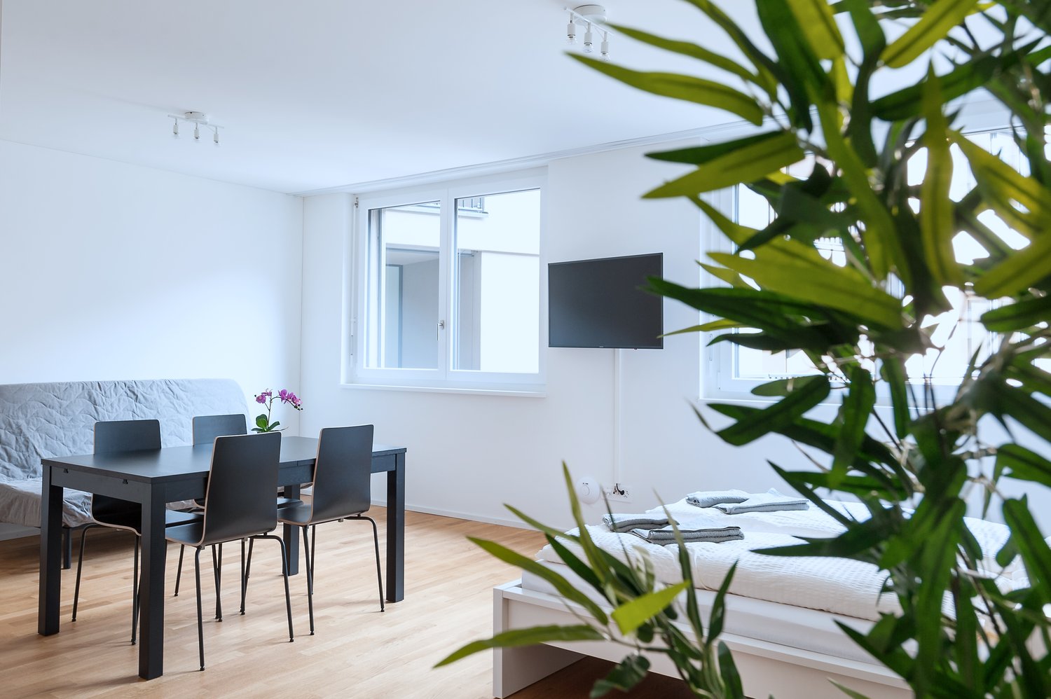 1 ½ rooms furnished flat, photo 3 of 10