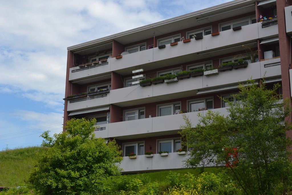 4 ½ room apartment