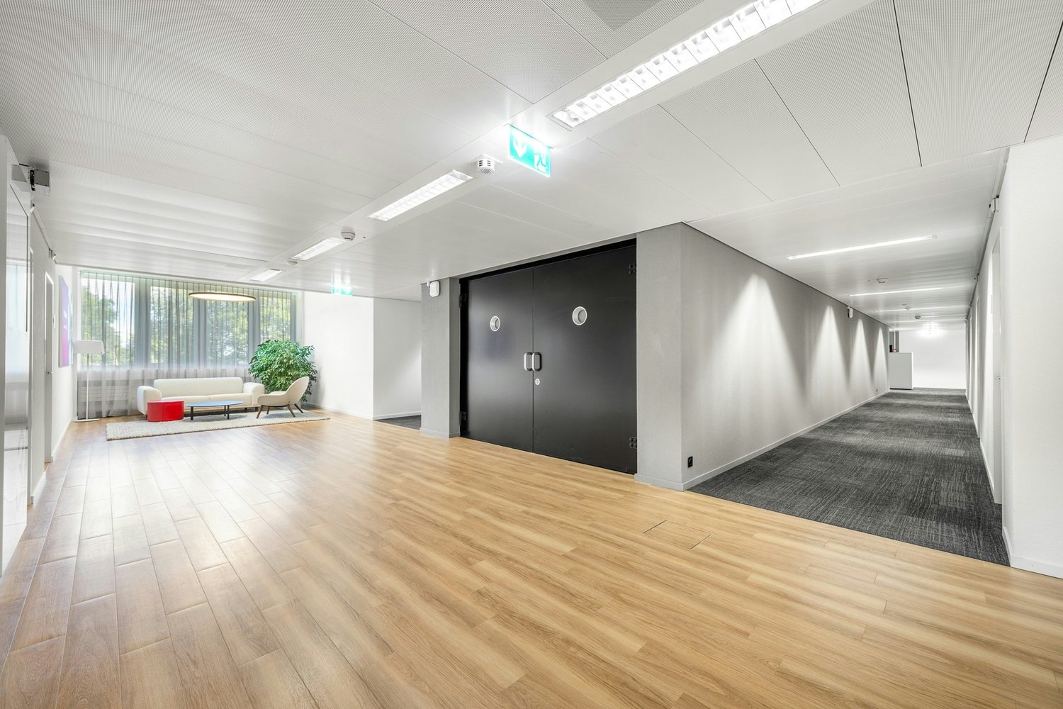 110m² office
