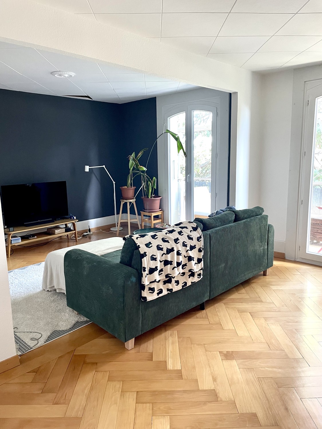 Room in a shared flat