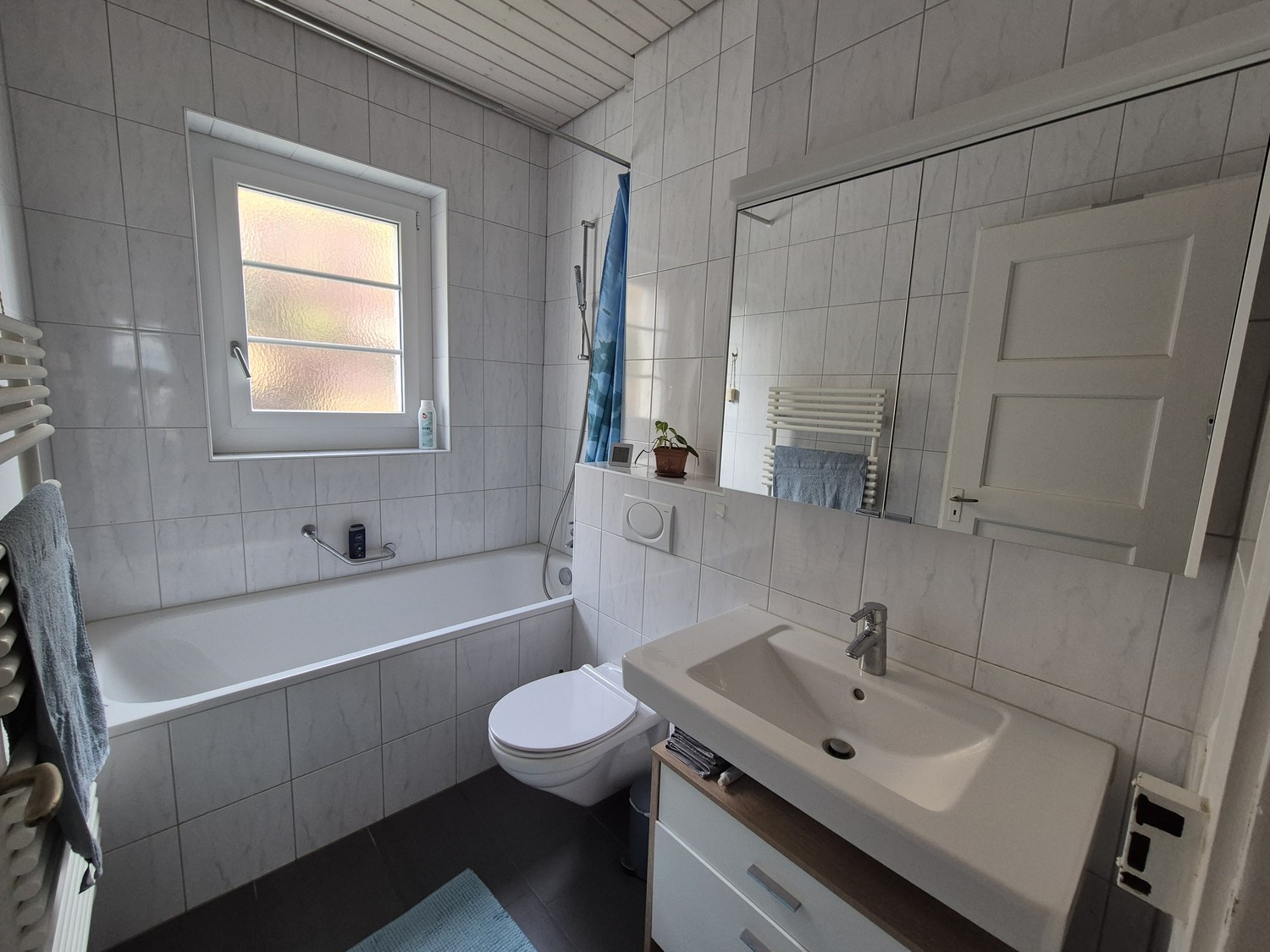 Appartamento di 3 ½ locali