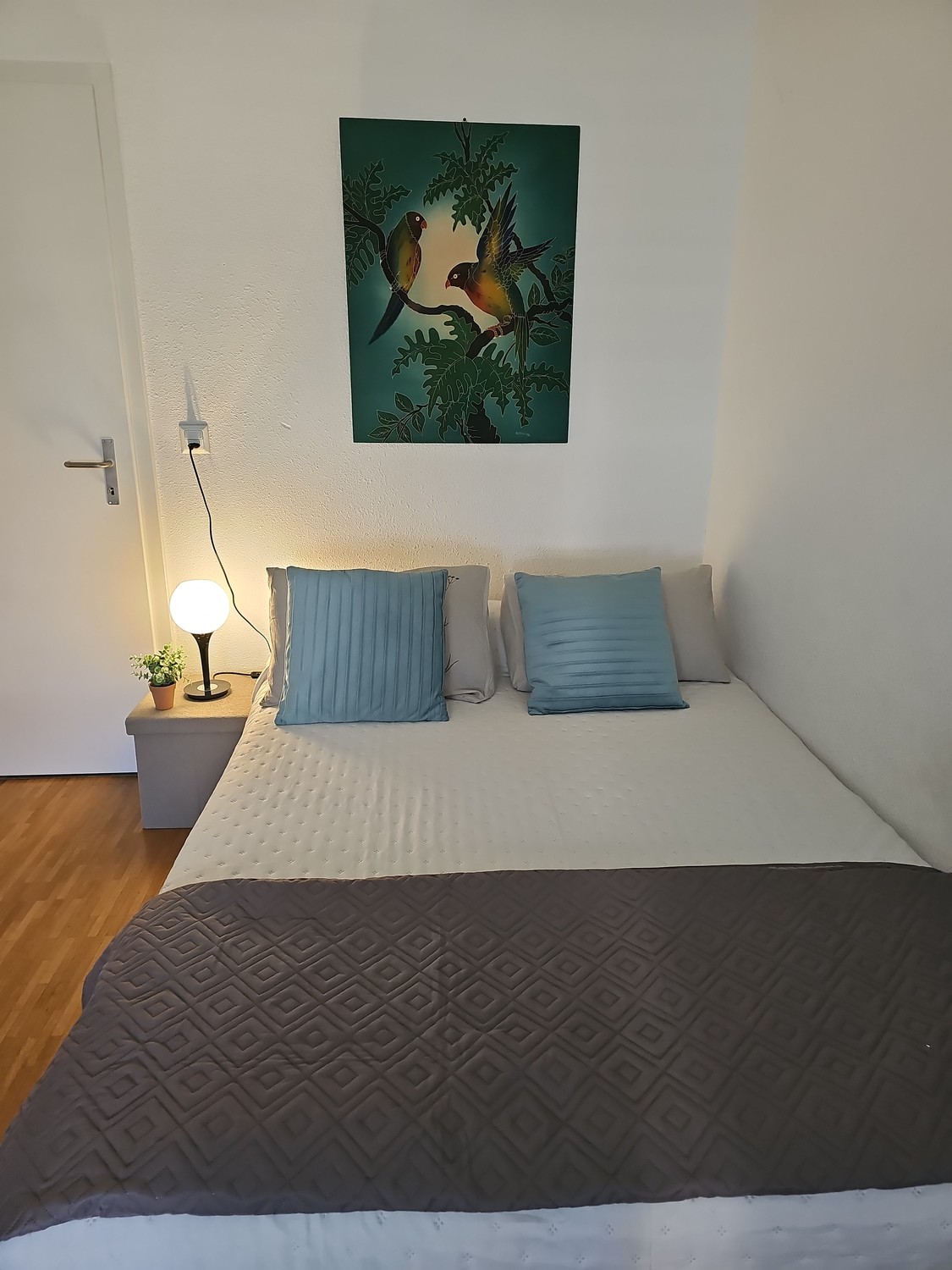 Room in a shared flat