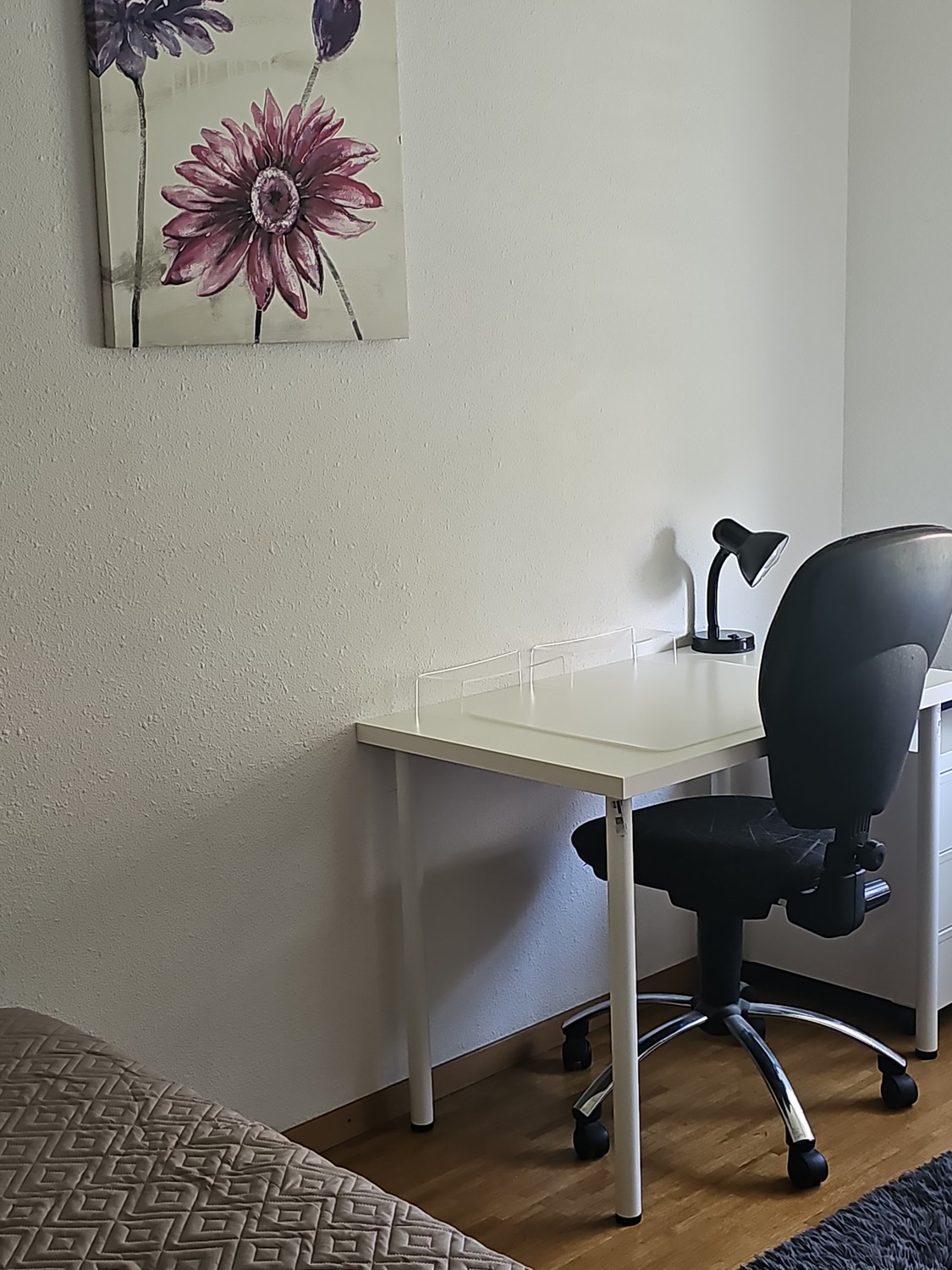 Room in a shared flat