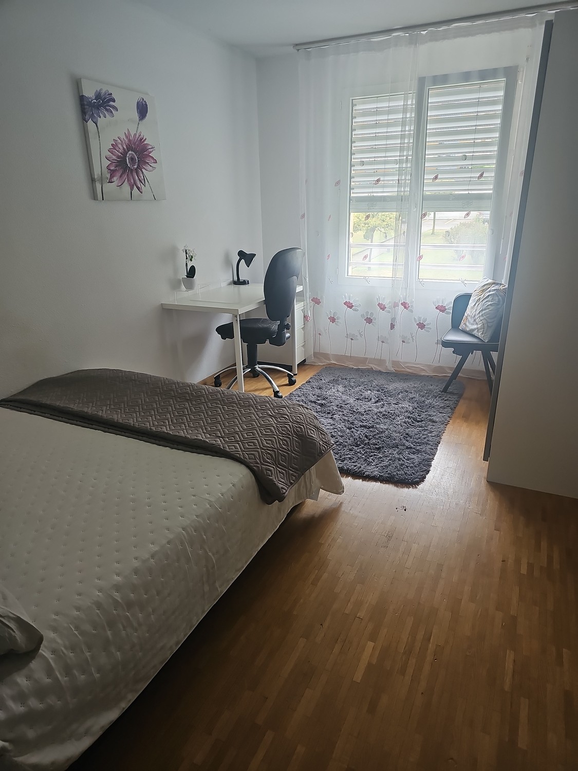 Room in a shared flat