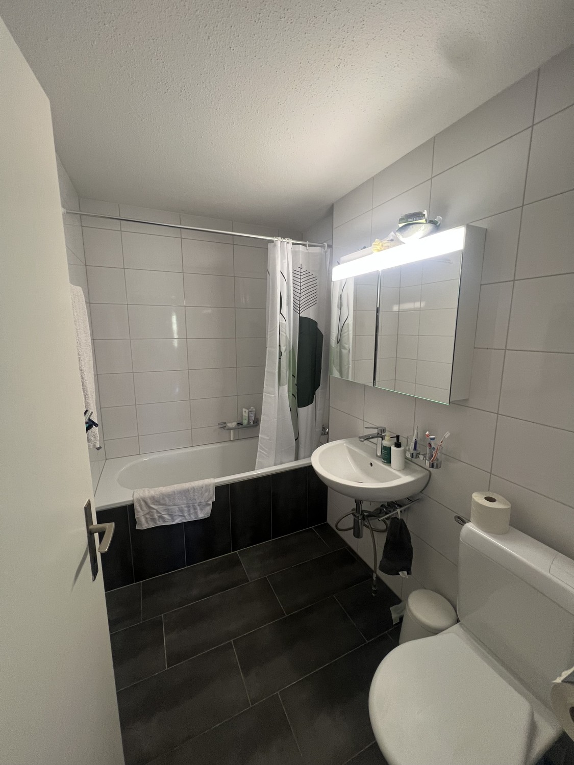 appartement 1 pièce