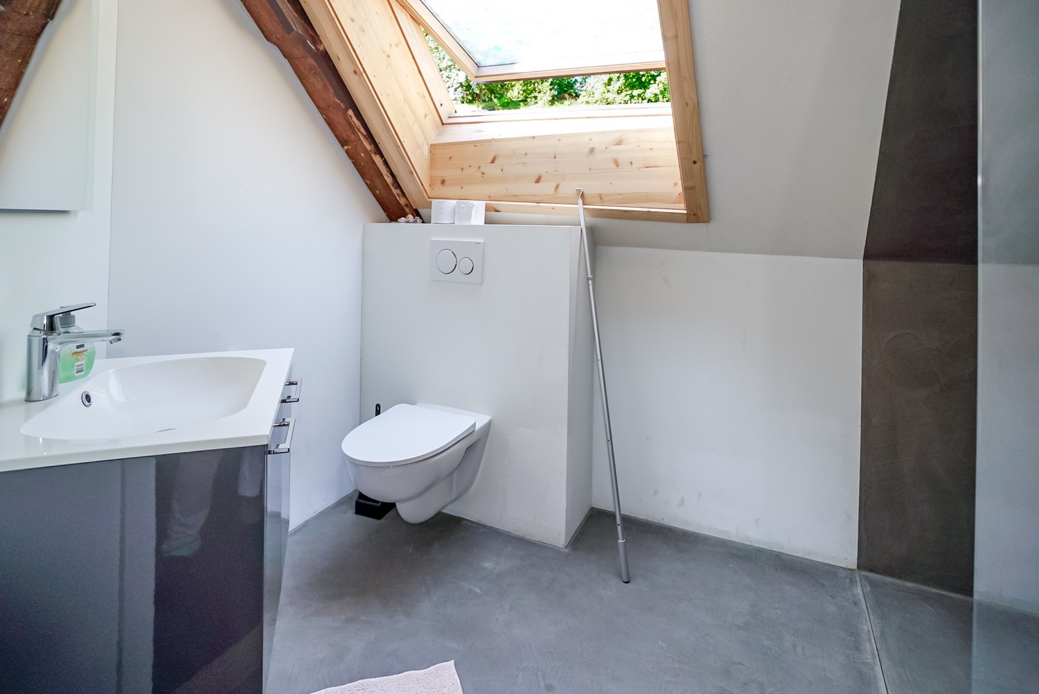 Room in a shared flat