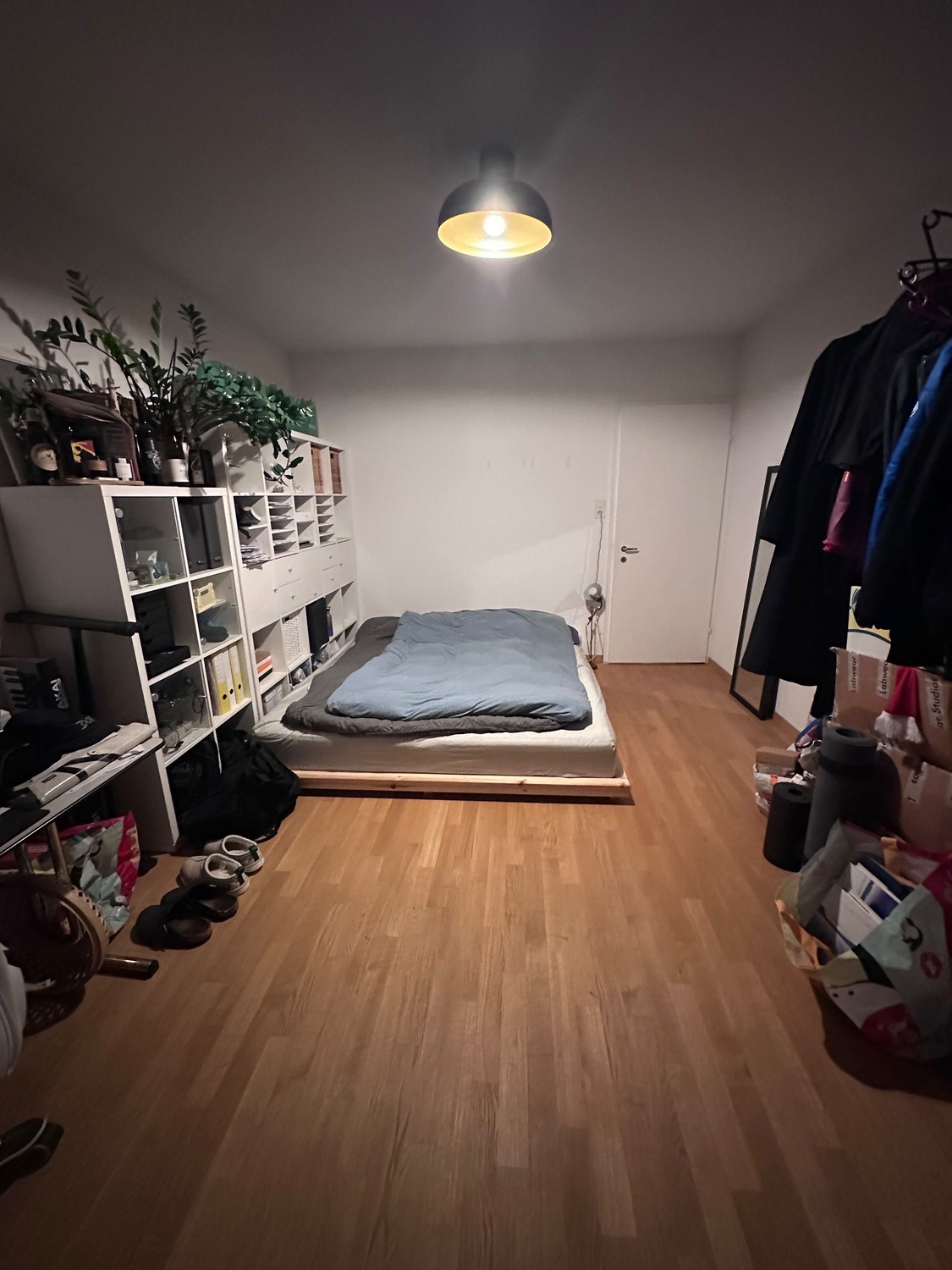 Room in a shared flat