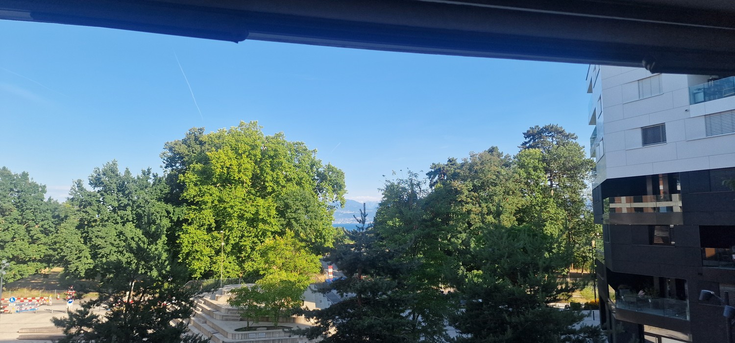 4 ½ Zimmer Wohnung