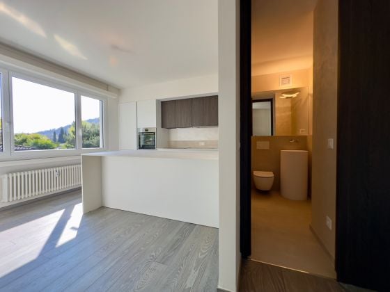 4 ½ pièces appartement