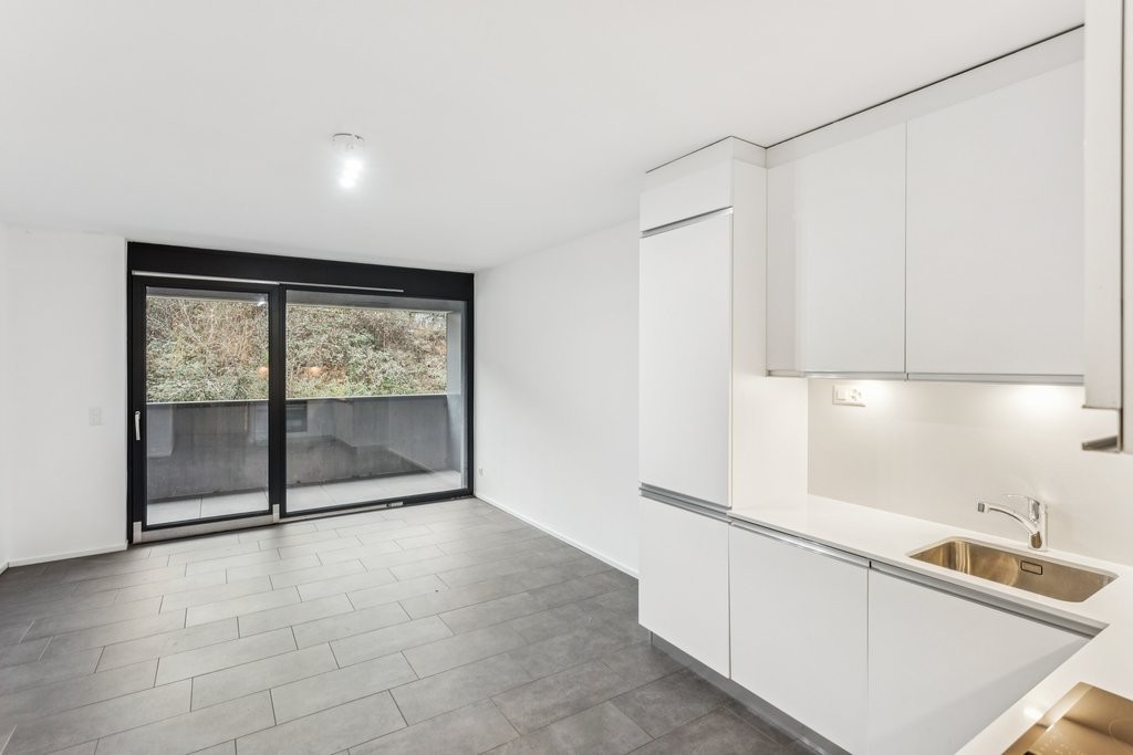 1 ½ pièces appartement