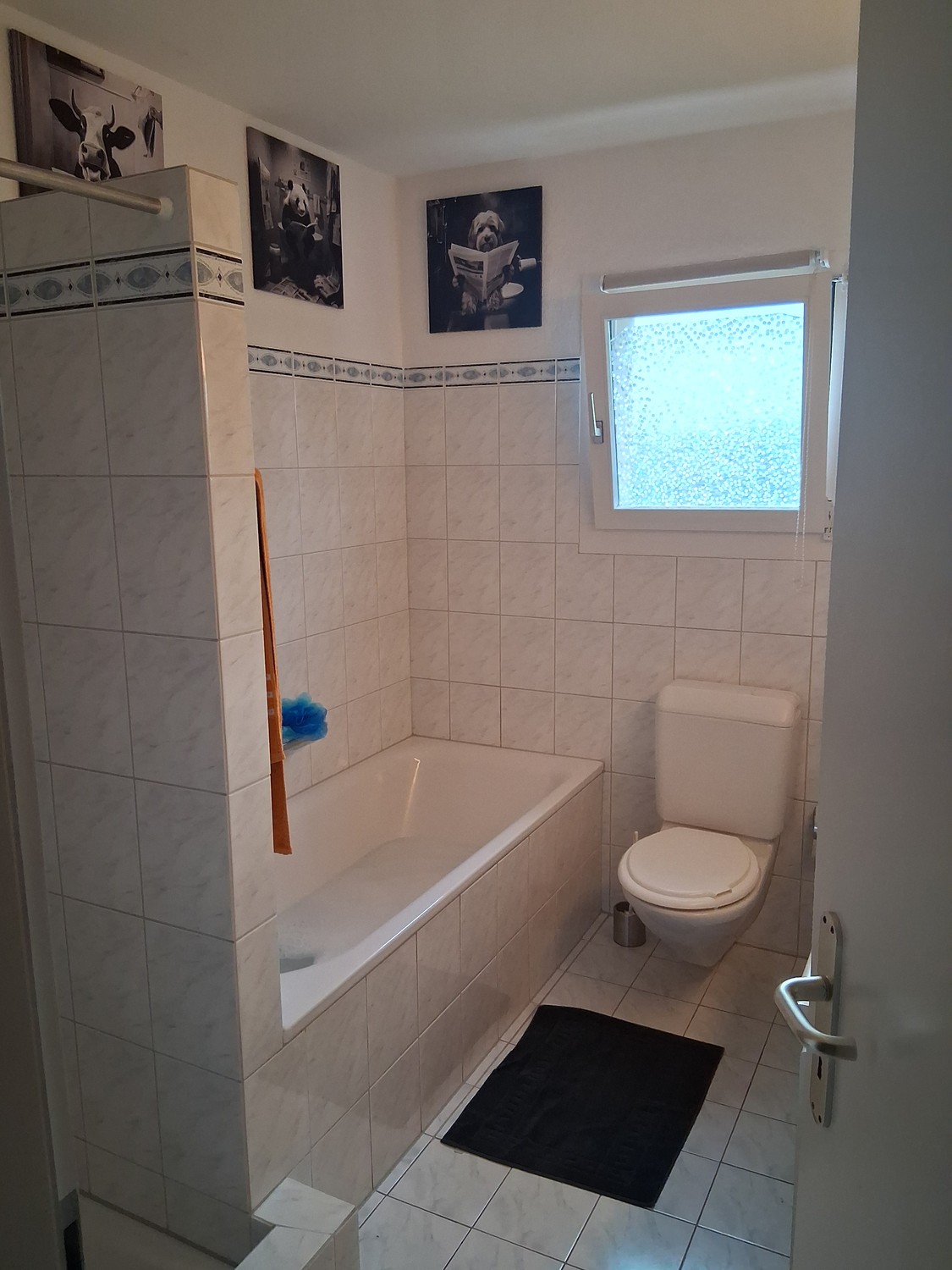 Room in a shared flat