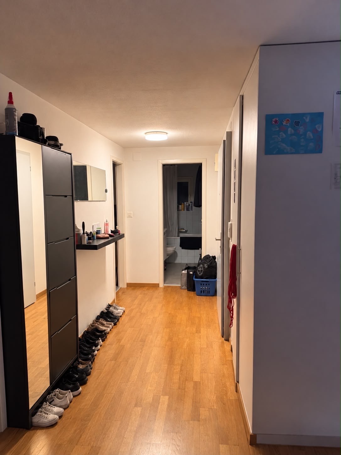 Appartamento di 3 ½ locali